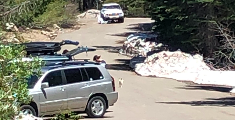 Illustration for article titled Here's What Happened to That Tesla Engineer's Jeep Crushed Under 10 Feet of Snow